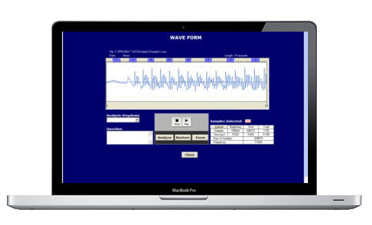 DVSA computer screen