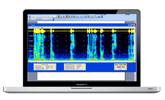 Spectrograph Mode for Voice ID